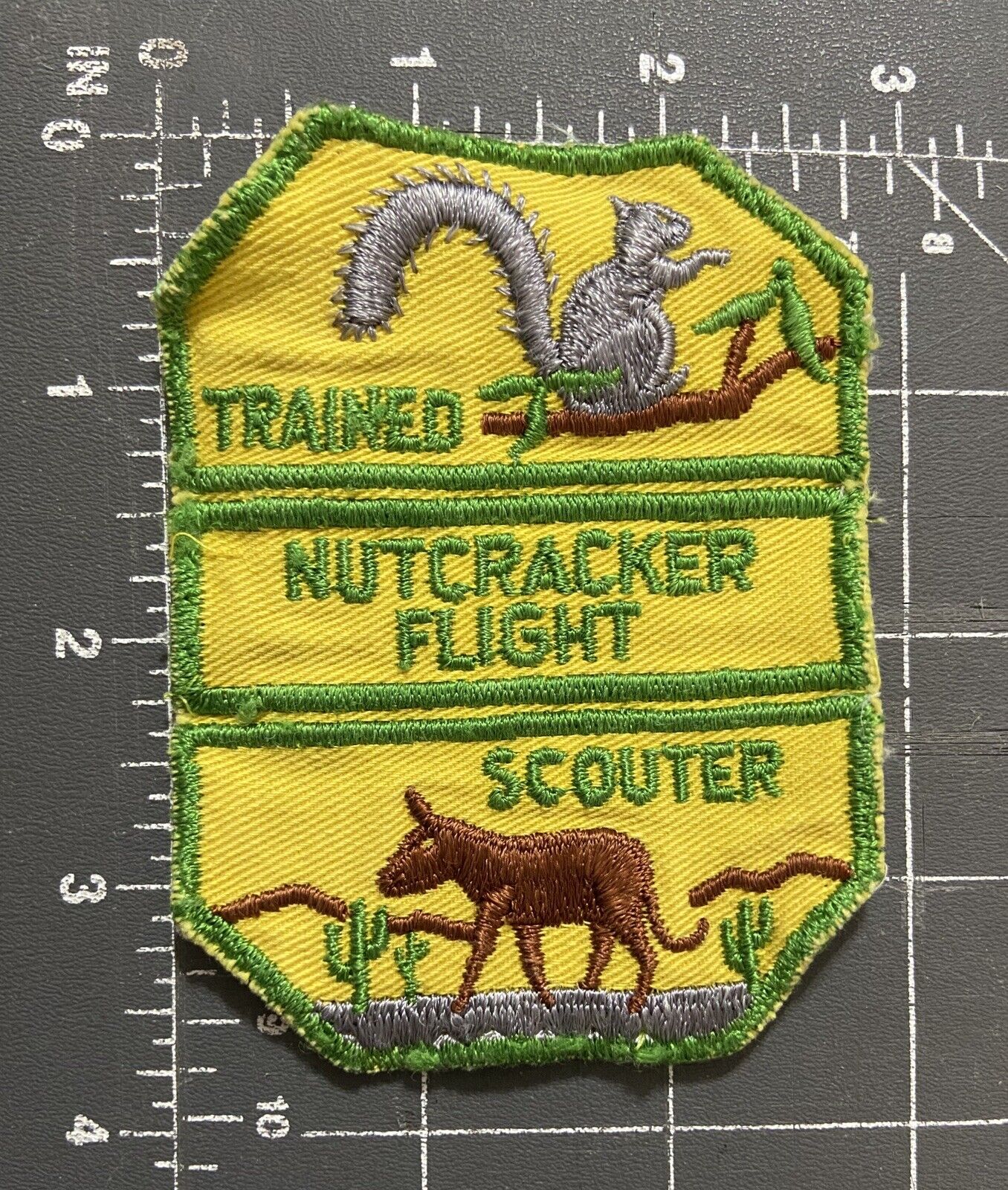 Vintage Boy Scouts of America BSA Patch Badge Trained Nutcracker Flight Scouter