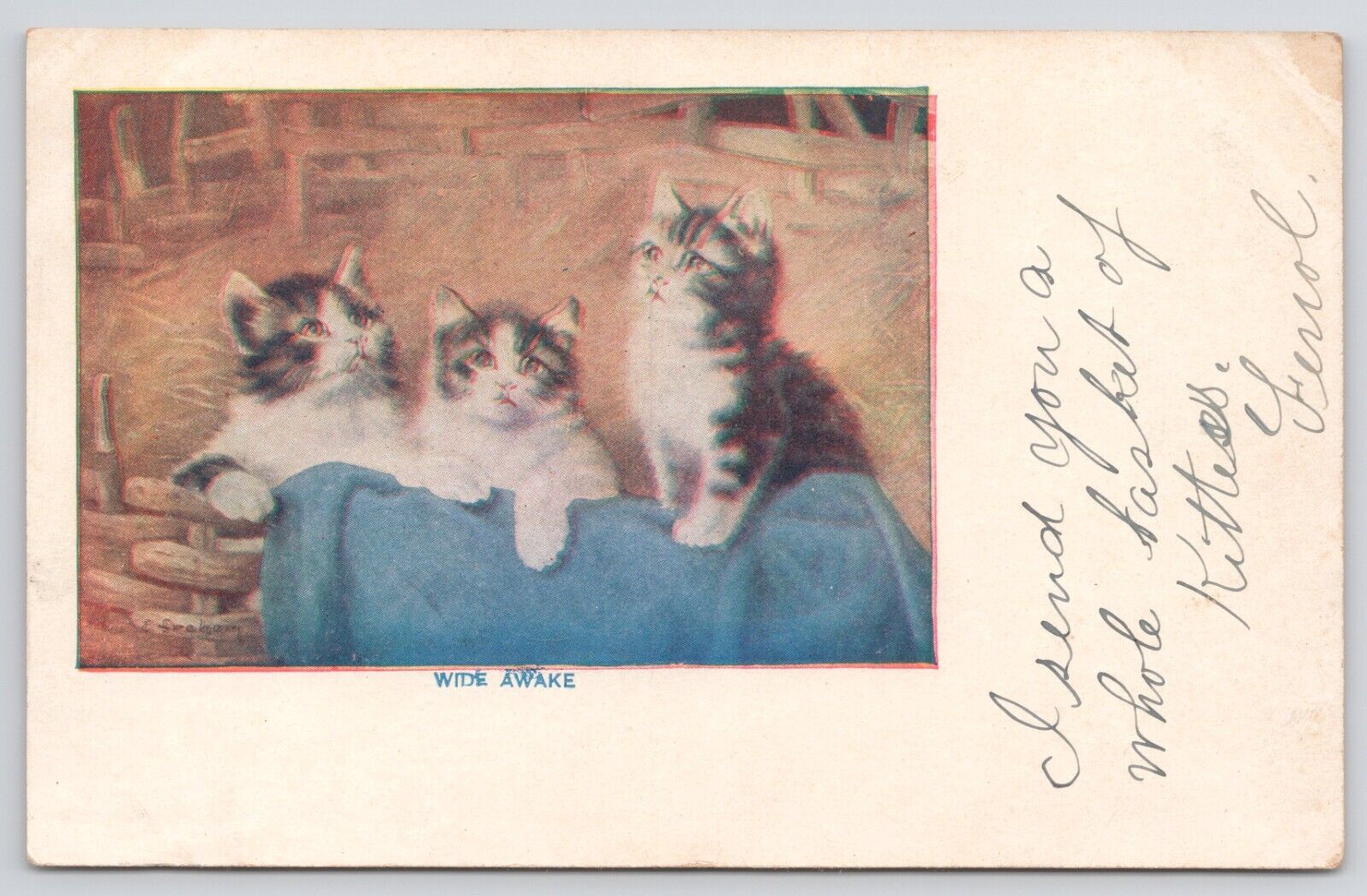 Three Tabby Kittens Cats in Basket \