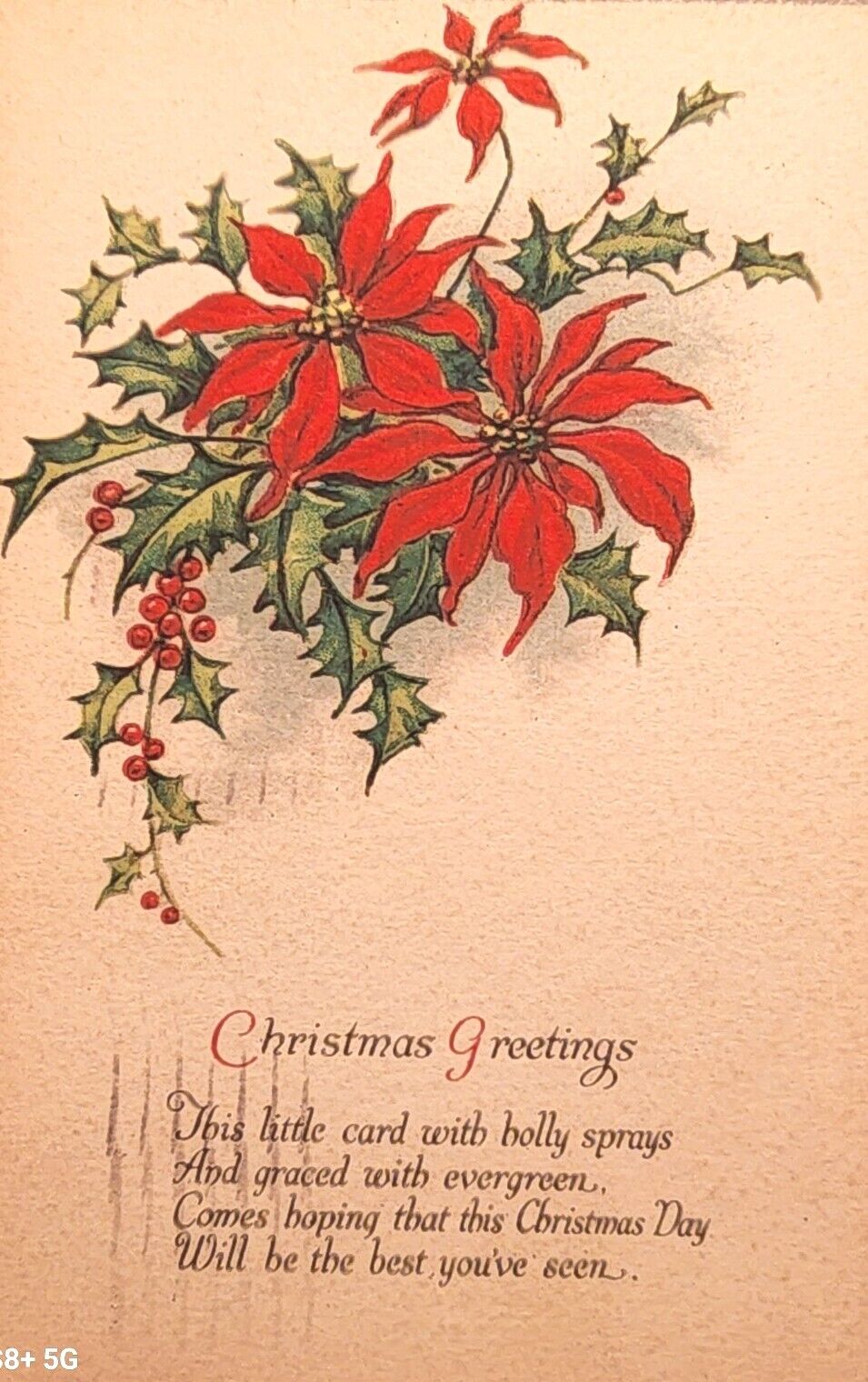 1927 Christmas Greetings Postcard~Poinsettia with Holly. #-2992