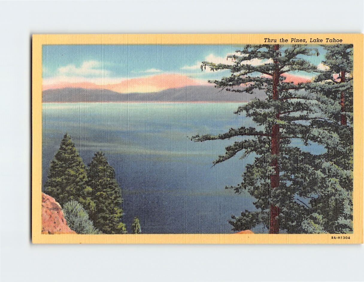 Postcard Thru the Pines, Lake Tahoe