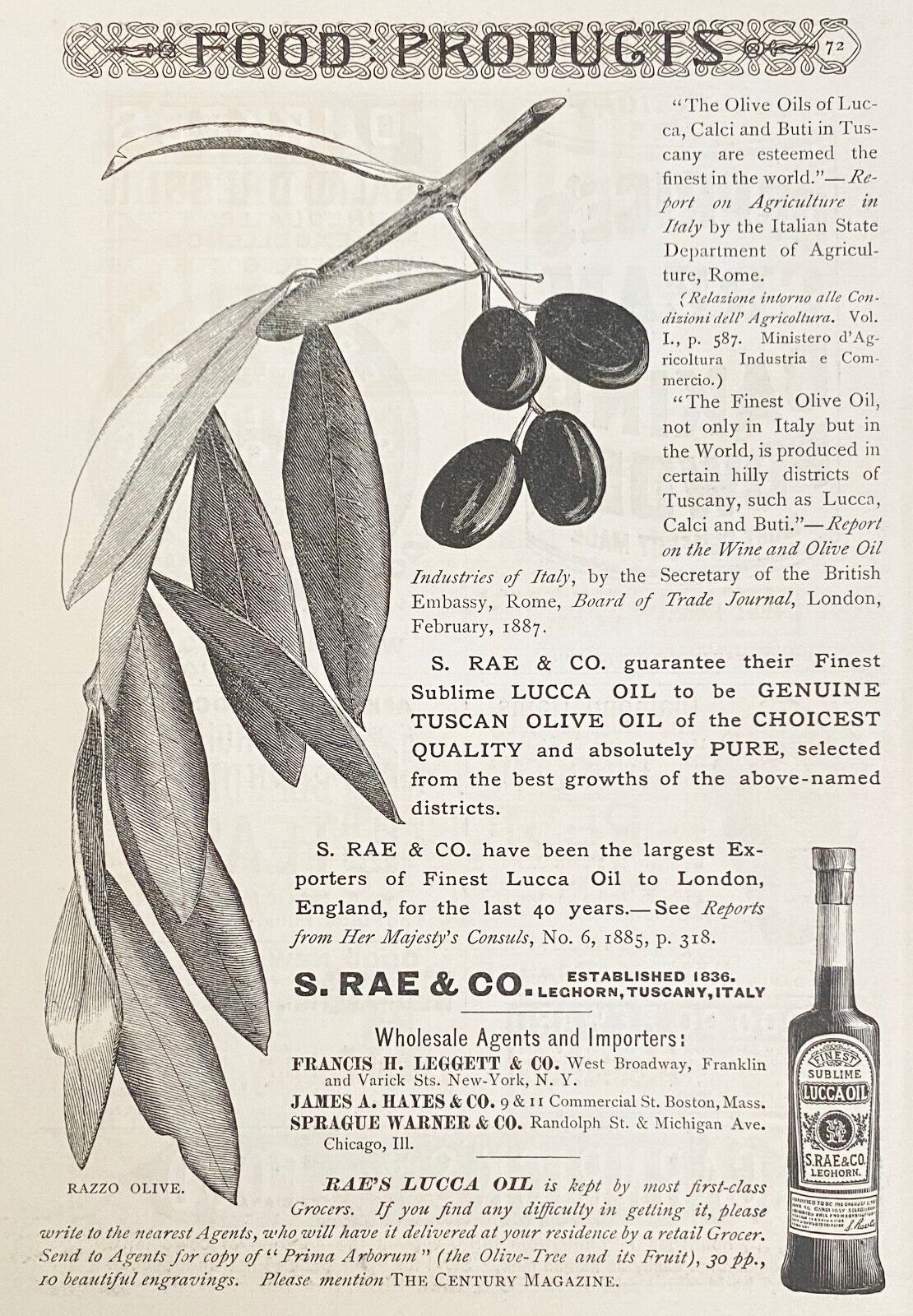 Antique 1888 Print Ad~FINE SUBLIME LUCCA OIL S.Rae&Co Tuscany Italy Olive Branch