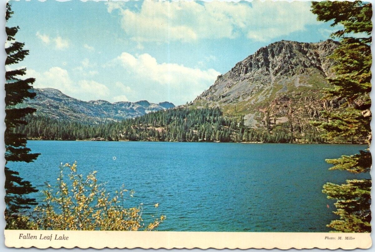 Postcard - Fallen Leaf Lake - South Lake Tahoe, California