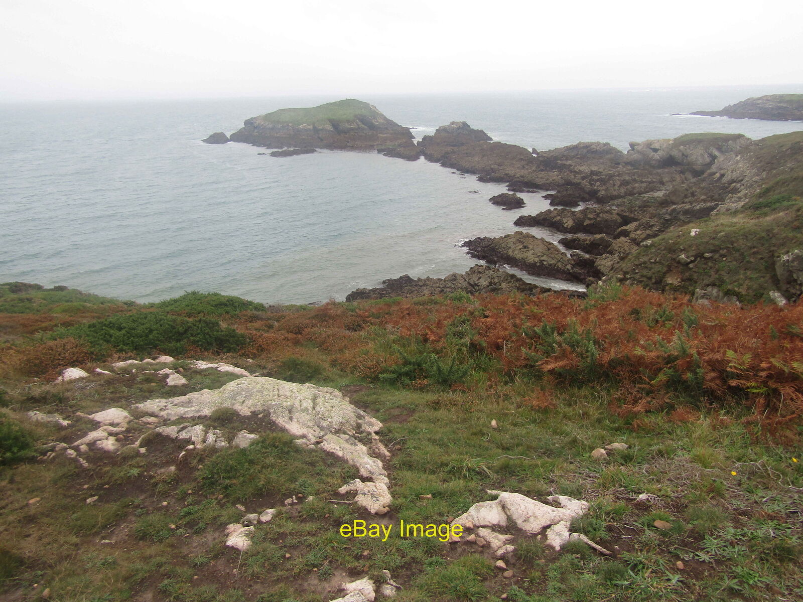 Photo 6x4 Pembrokeshire Coast - Picrite Treginnis View from the Coast Pat c2021