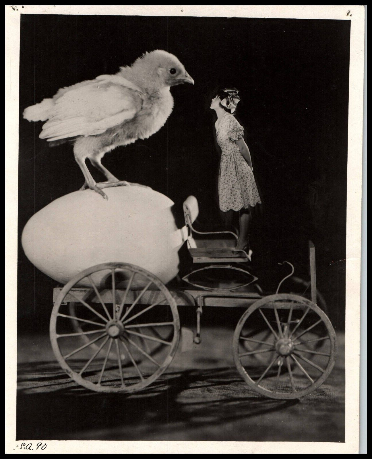 Hollywood Beauty DOROTHY GULLIVER & CHICKEN AWESOME PORTRAIT 1920s Photo 656