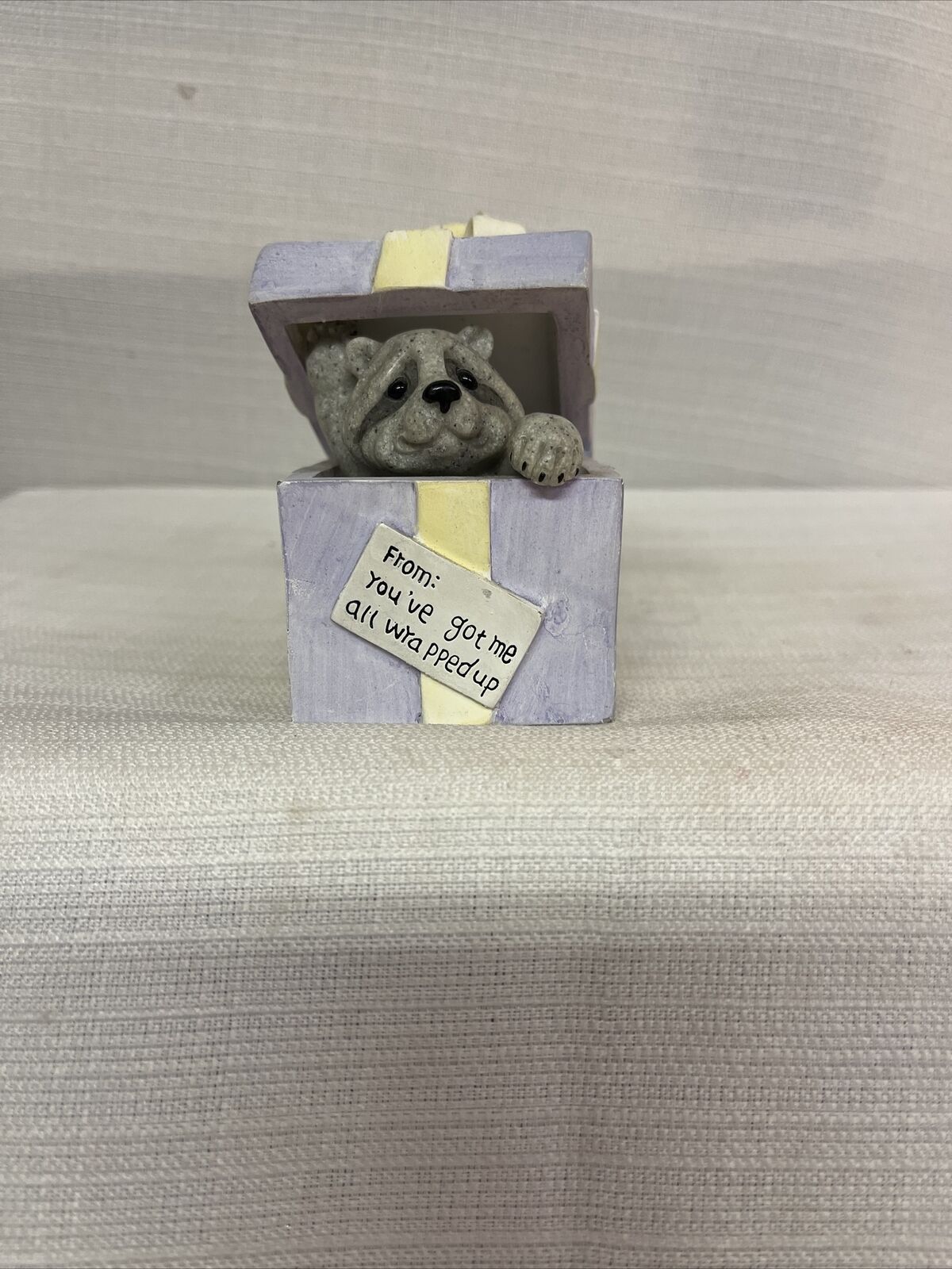 Quarry Critters Raccoon Popping Out Of Box “From: You’ve Got Me All Wrapped Up”