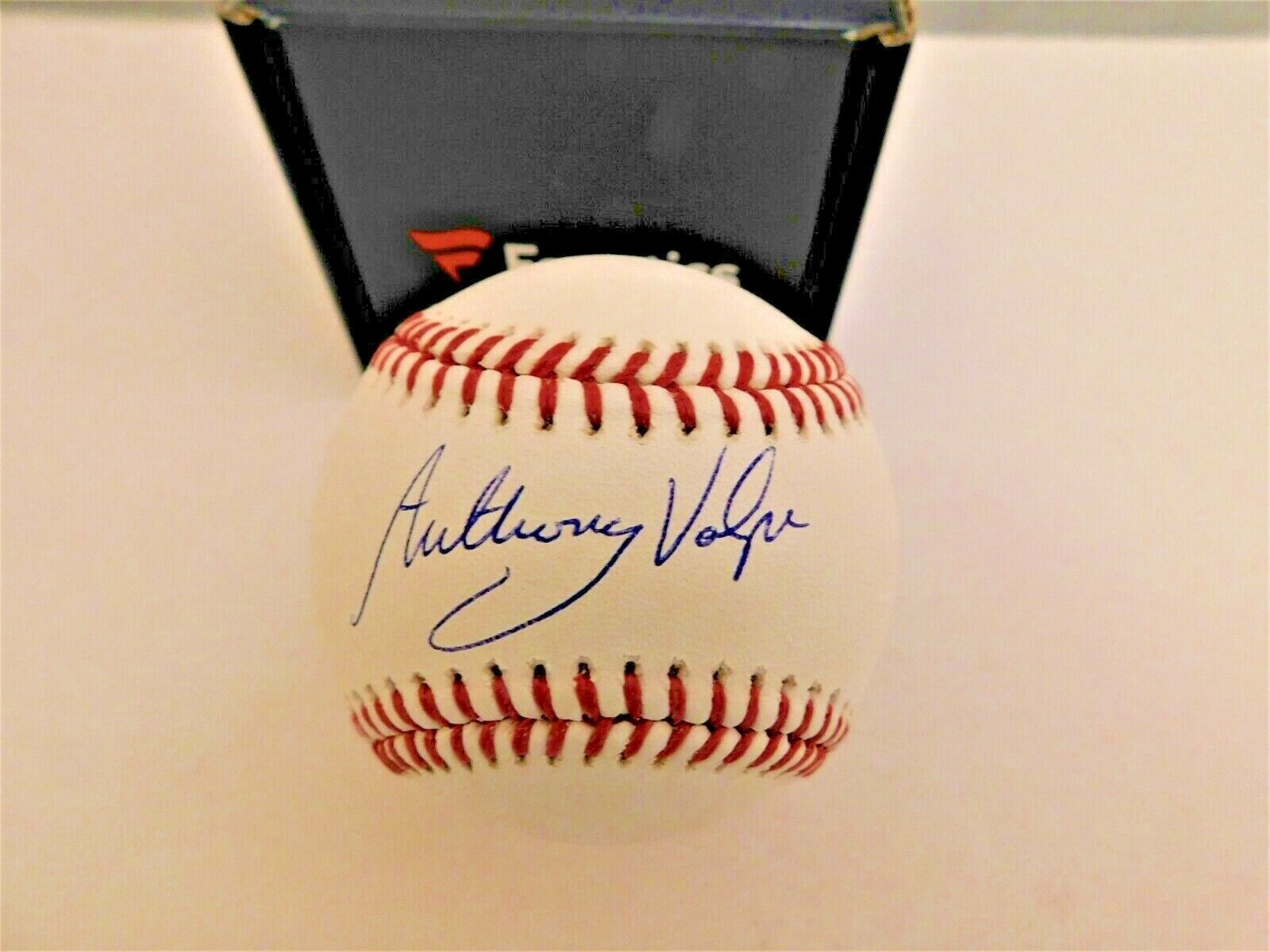 Anthony Volpe Signed / Autographed OML Baseball Fanatics COA Yankees #1 Prospect