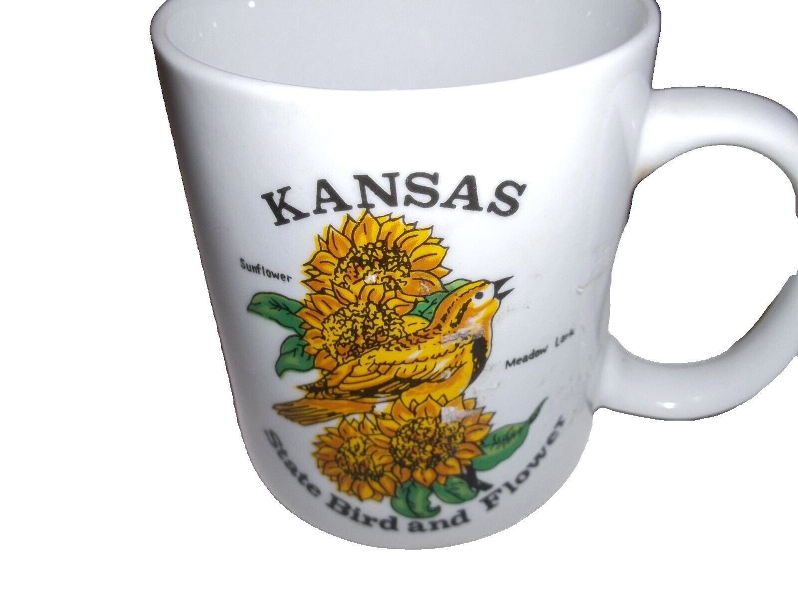 KANSAS State Bird and Flower Mug
