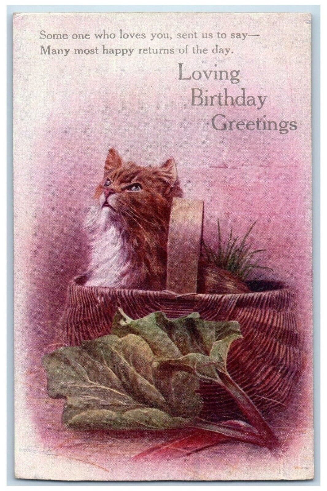 c1910's Birthday Greetings Cute Cat In Basket Oilette Tuck's Antique Postcard