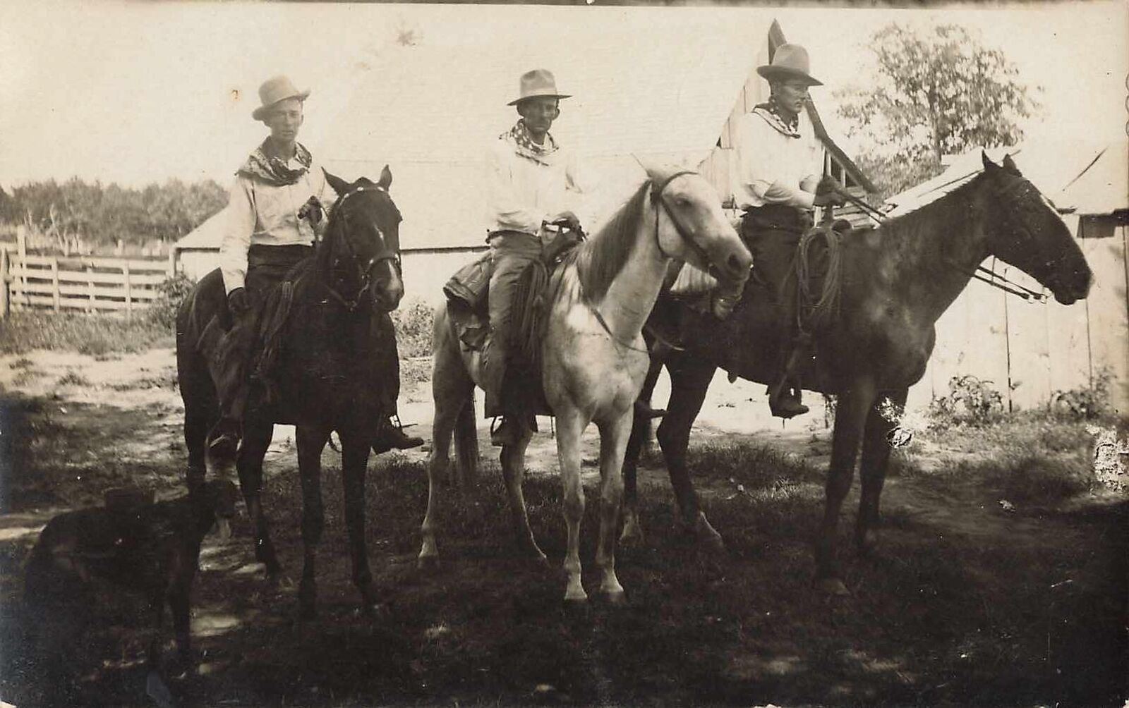 1900s RPPC 3 Cowboys on Horseback Real Photo Postcard Horse Farm Ranch Rare