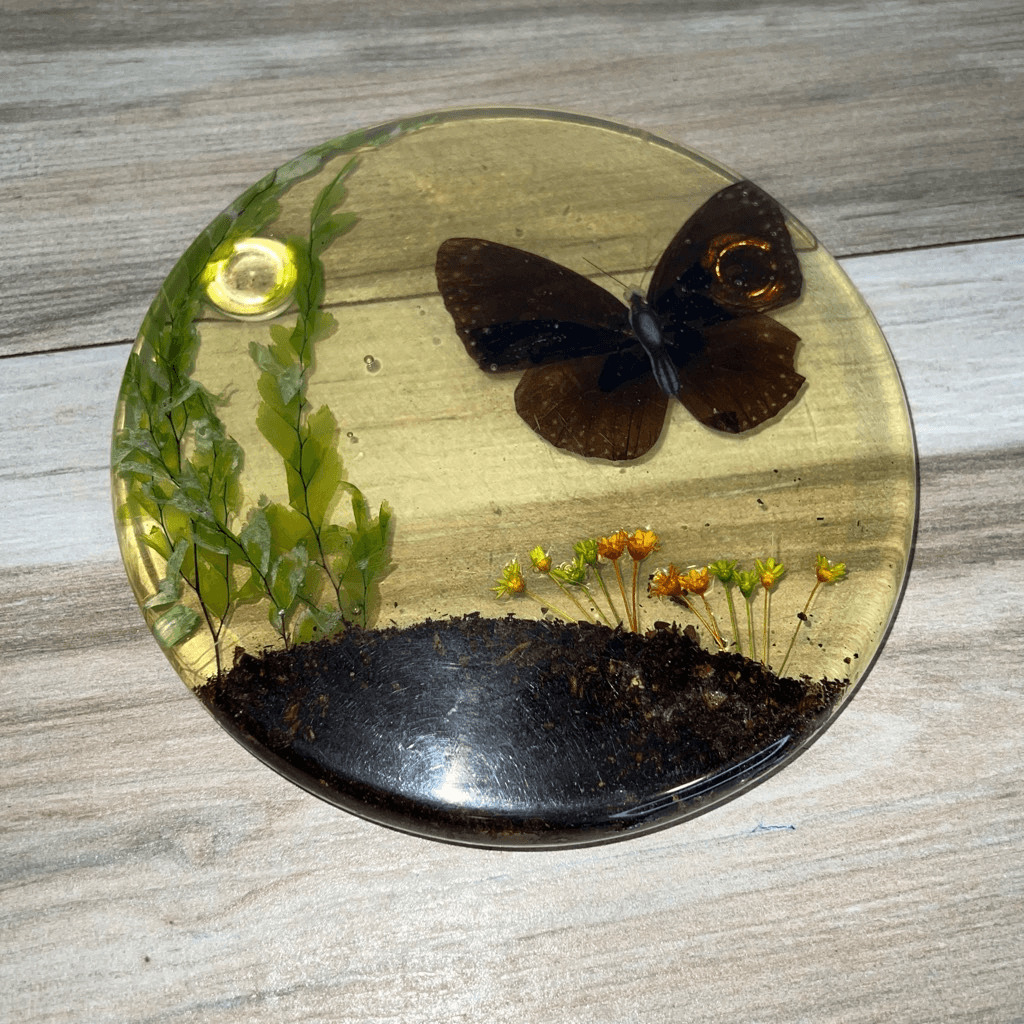 1969 New Designs Inc. Lucite  Trivet With Dried Flowers And Taxidermy Butterfly