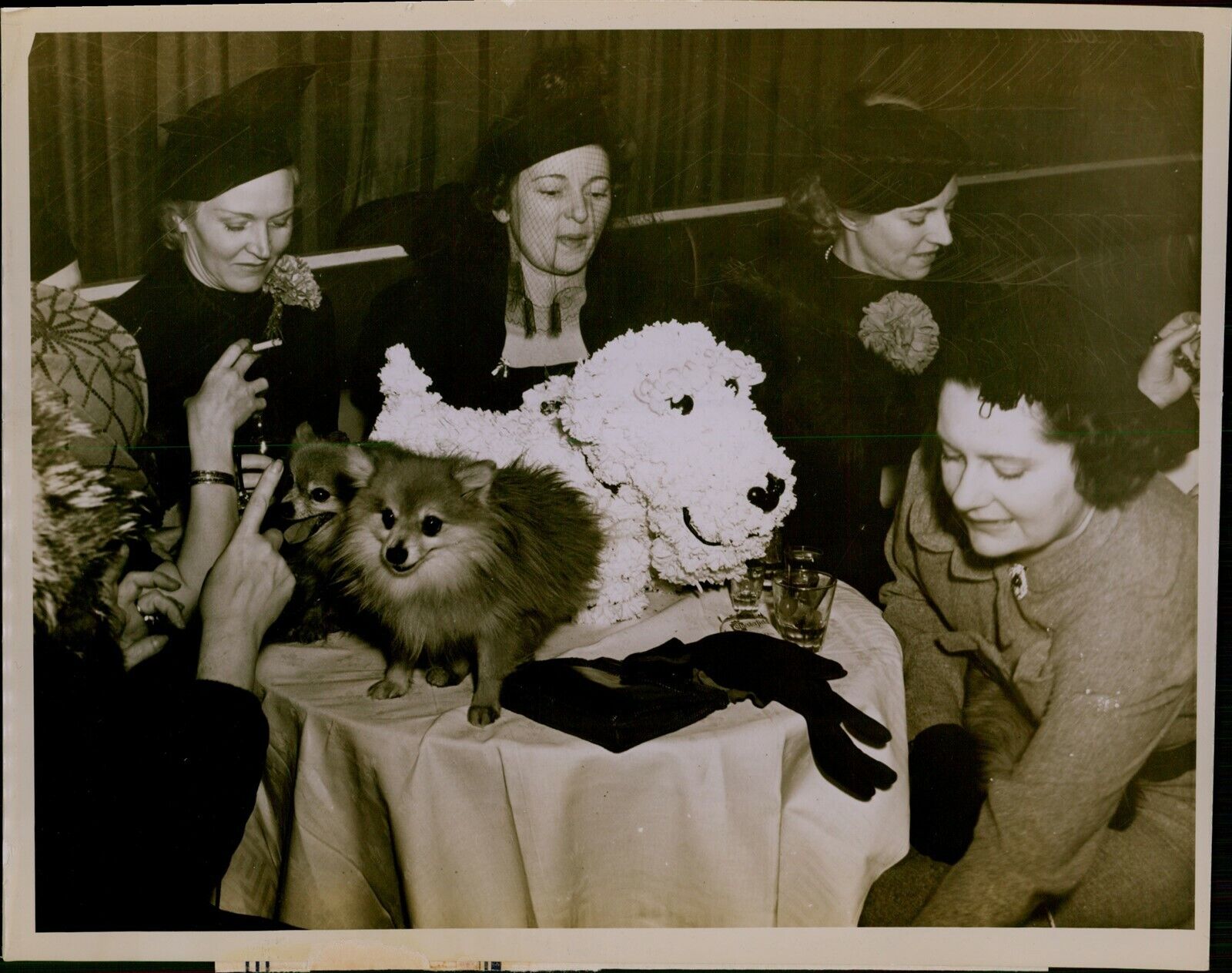 GA51 Original Underwood Photo PETS GO TO COCKTAIL PARTY Pomeranians New York