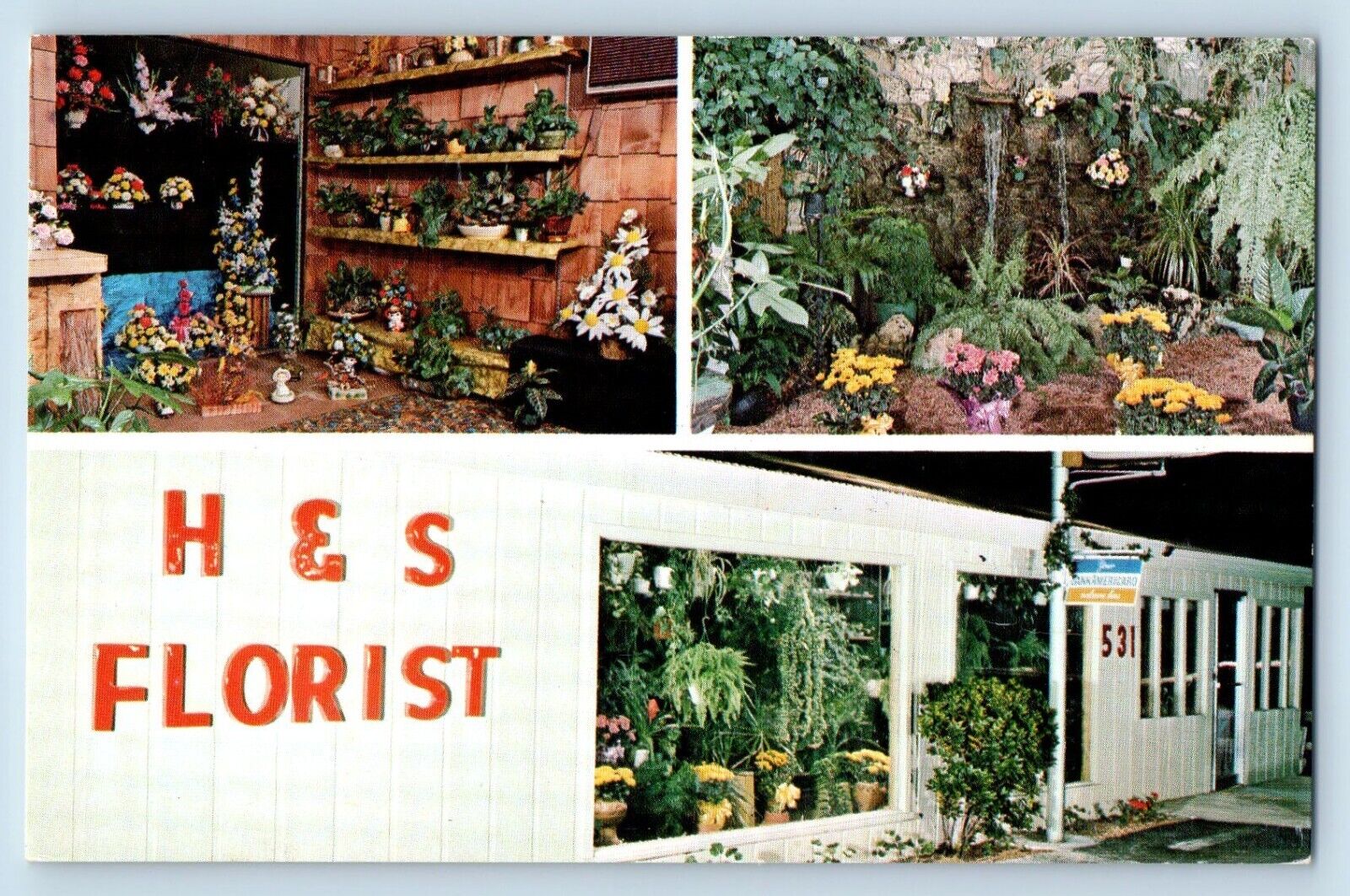 Ft. Lauderdale Florida Postcard H&S Florist Inc. Multiview c1960 Vintage Antique