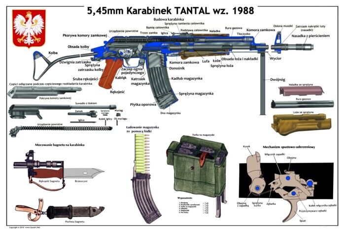 *BIG Color POSTER Poland Polish TANTAL Rifle Kalashnikov 5.45x39 LQQK USA SELLER