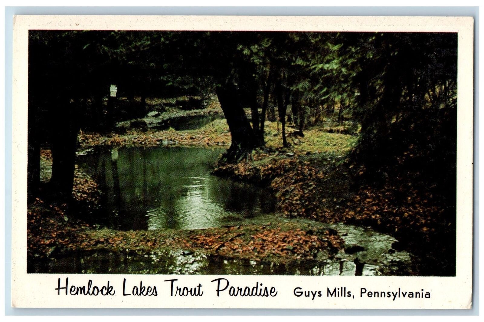 Guys Mills Pennsylvania PA Postcard Hemlock Lakes Trout Paradise c1960\'s Vintage