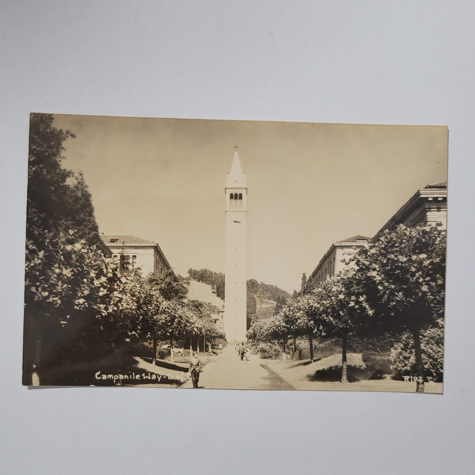RPPC Berkeley CA University Of California Campus Scene On Campanile Way 1940s