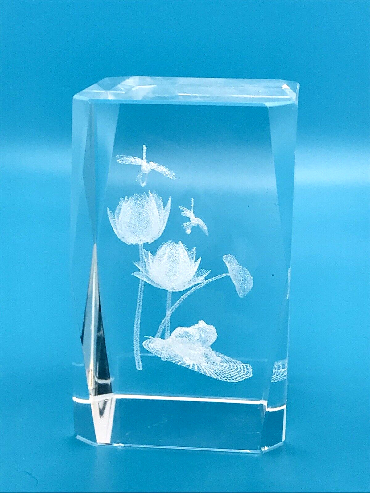 3D Crystal Laser Etched Paperweight Clear Glass Frog Lilly Pad Dragonflys