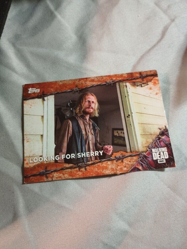 Collectible Topps 2017 The Walking Dead Season 7  Dwight - Looking For Sherry 