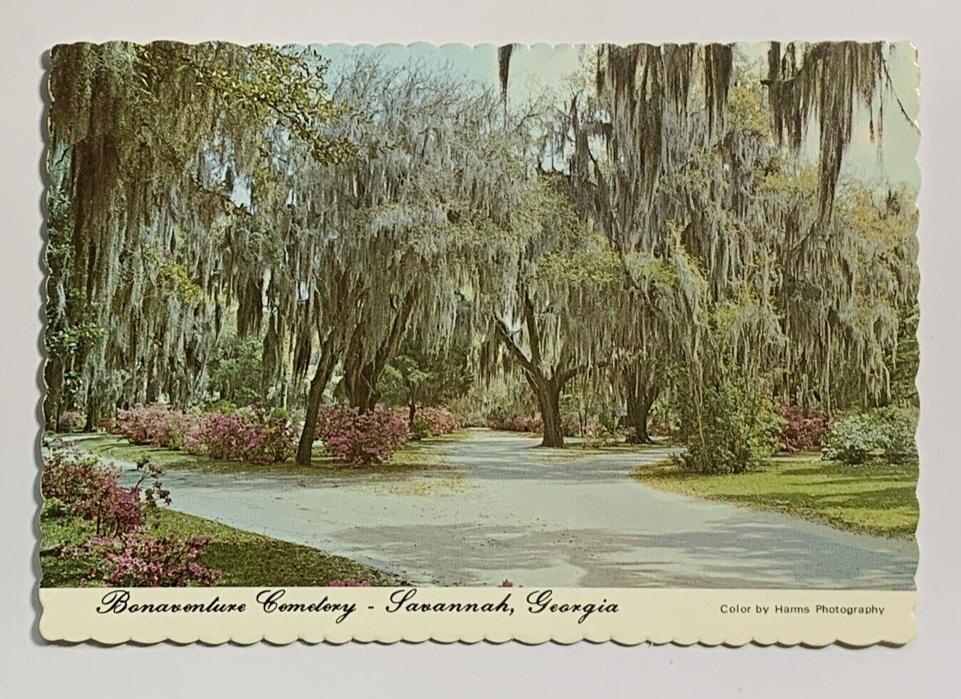 Savannah, GA Georgia, Bonaventure Cemetery, Postcard