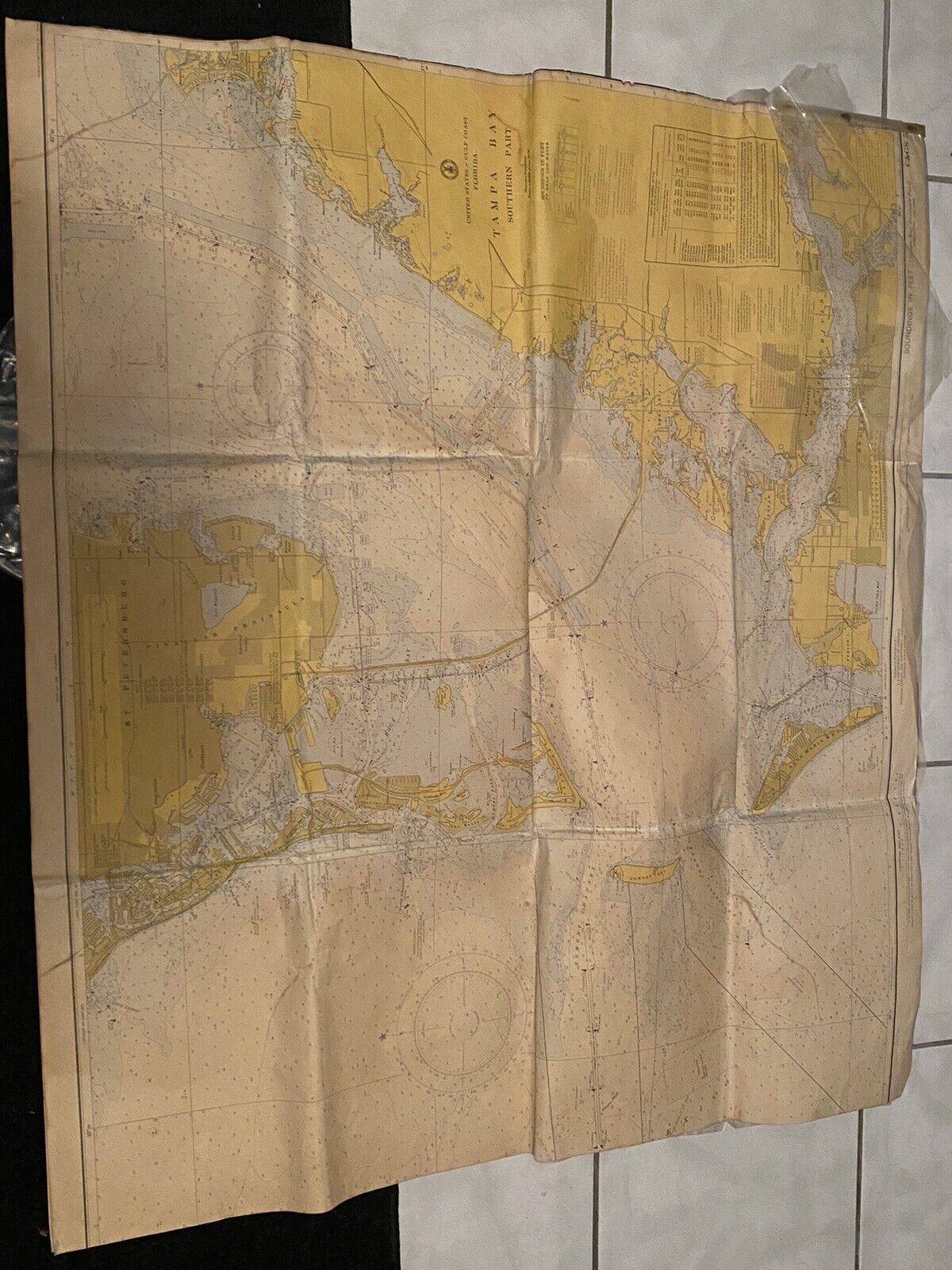 Tampa Bay Map Vintage