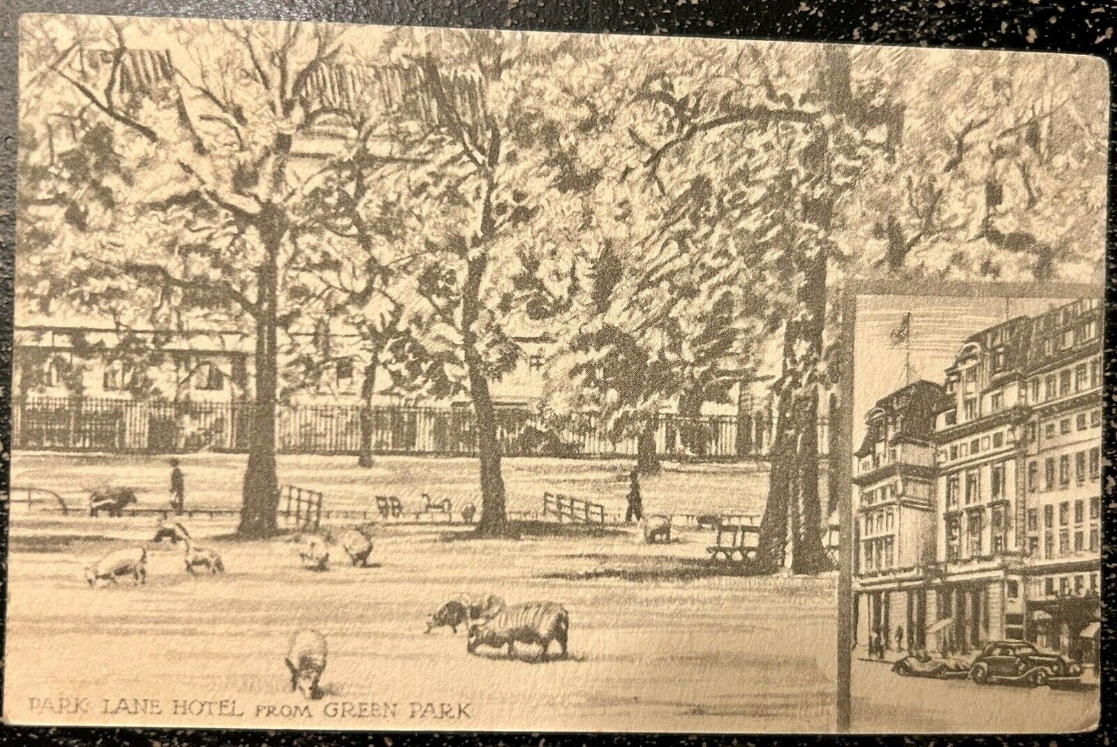 Park Lane Hotel. Green Park Vintage Postcard. London England.