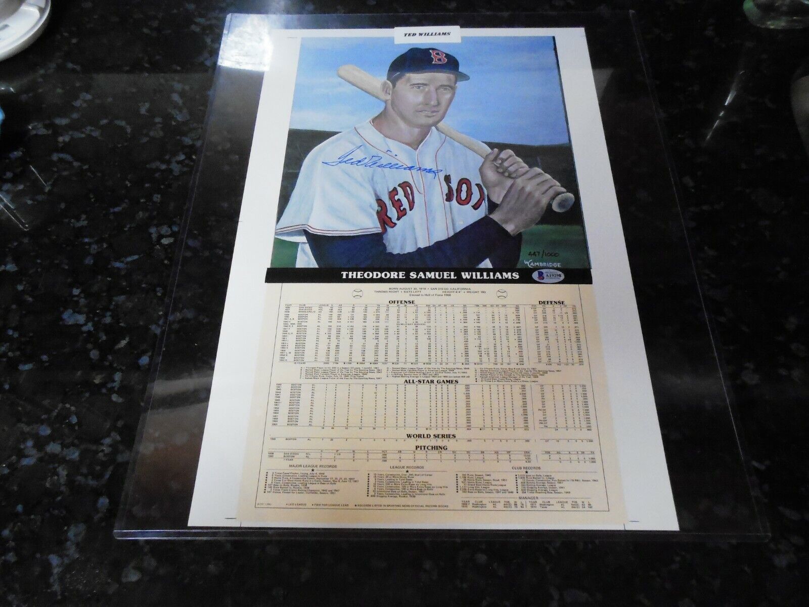 Ted Williams 12.5\