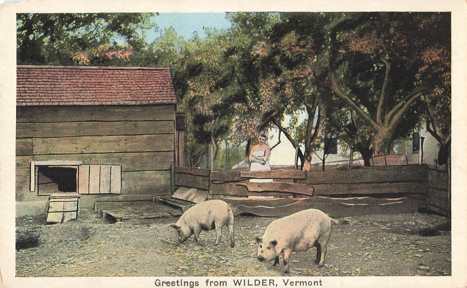 Vintage Postcard Greetings from Wilder Vermont Windsor County Pig Pen