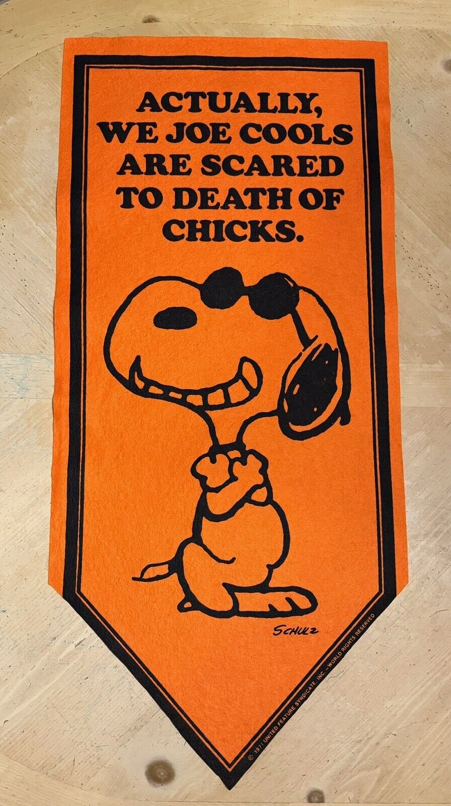 Vtg 1971 Peanuts JOE COOL Snoopy Scared of Chicks Orange Felt Banner Pennant