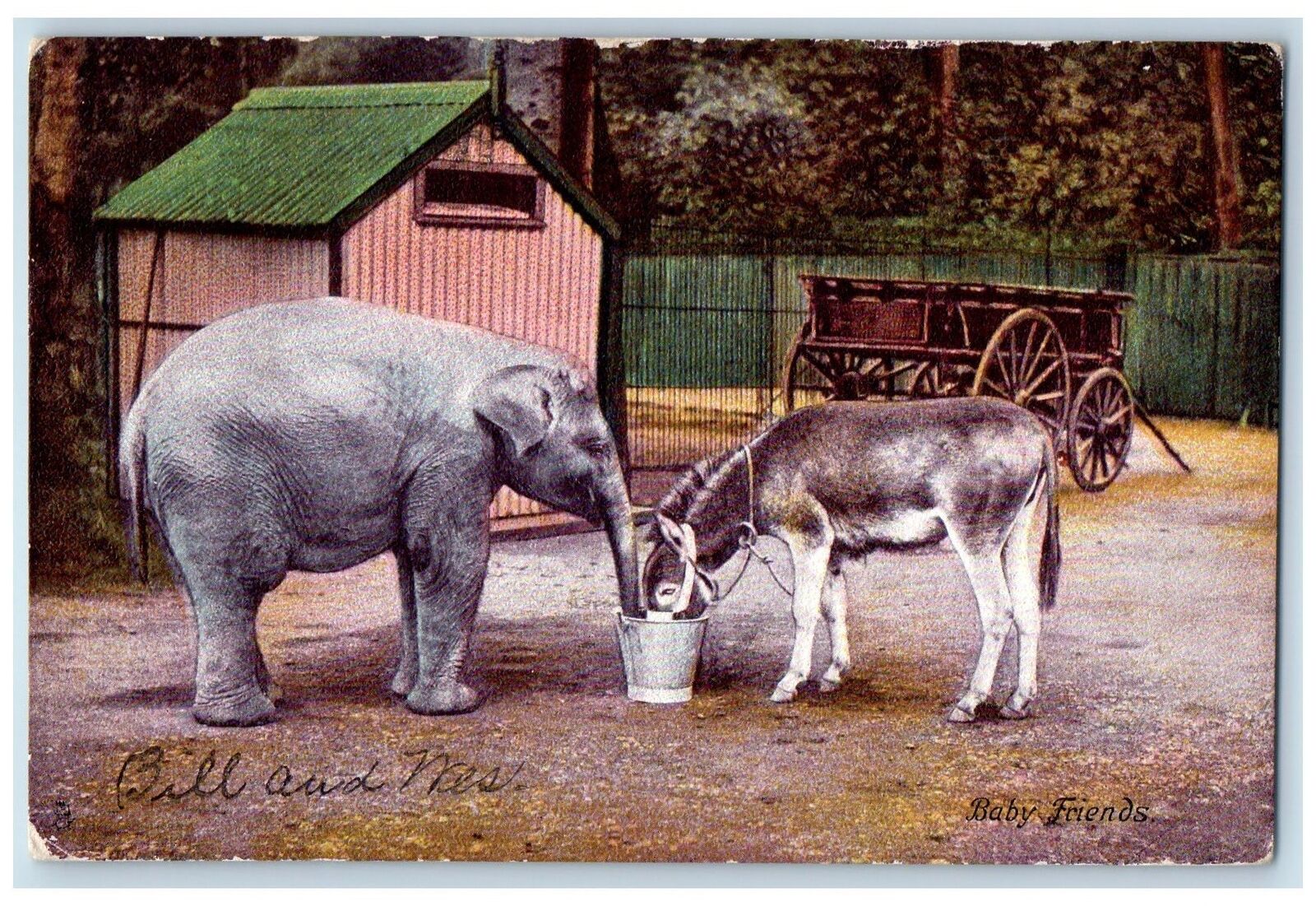 1906 Baby Friends Elephant And Donkey View Washington DC Posted Vintage Postcard