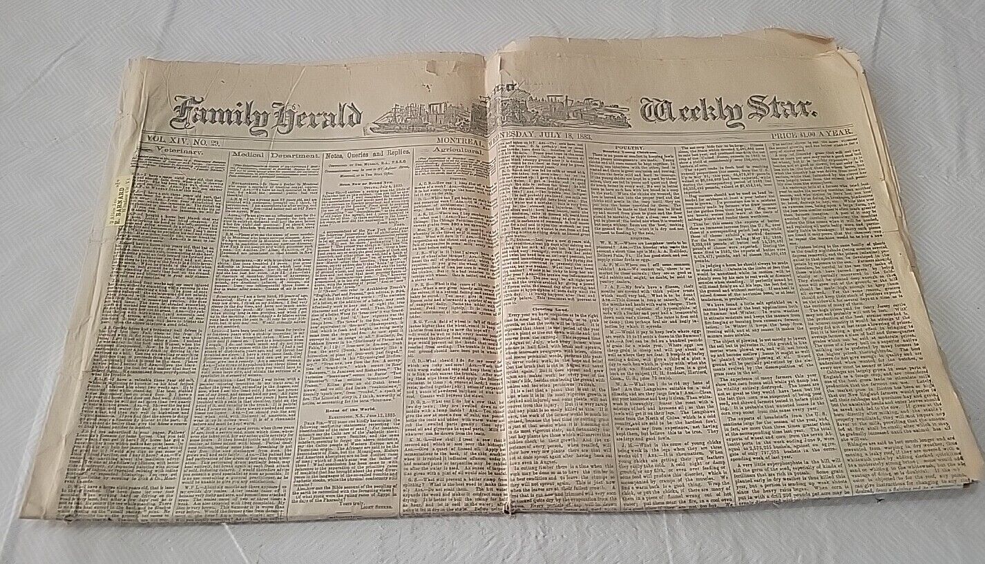 Antique 1883 Montreal Canada Family Herald & Weekly Star Newspaper 