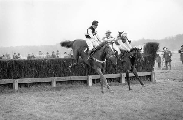 Fort Devon with Bill Smith in the saddle and Bachelor\'s Hall M- 1977 Old Photo