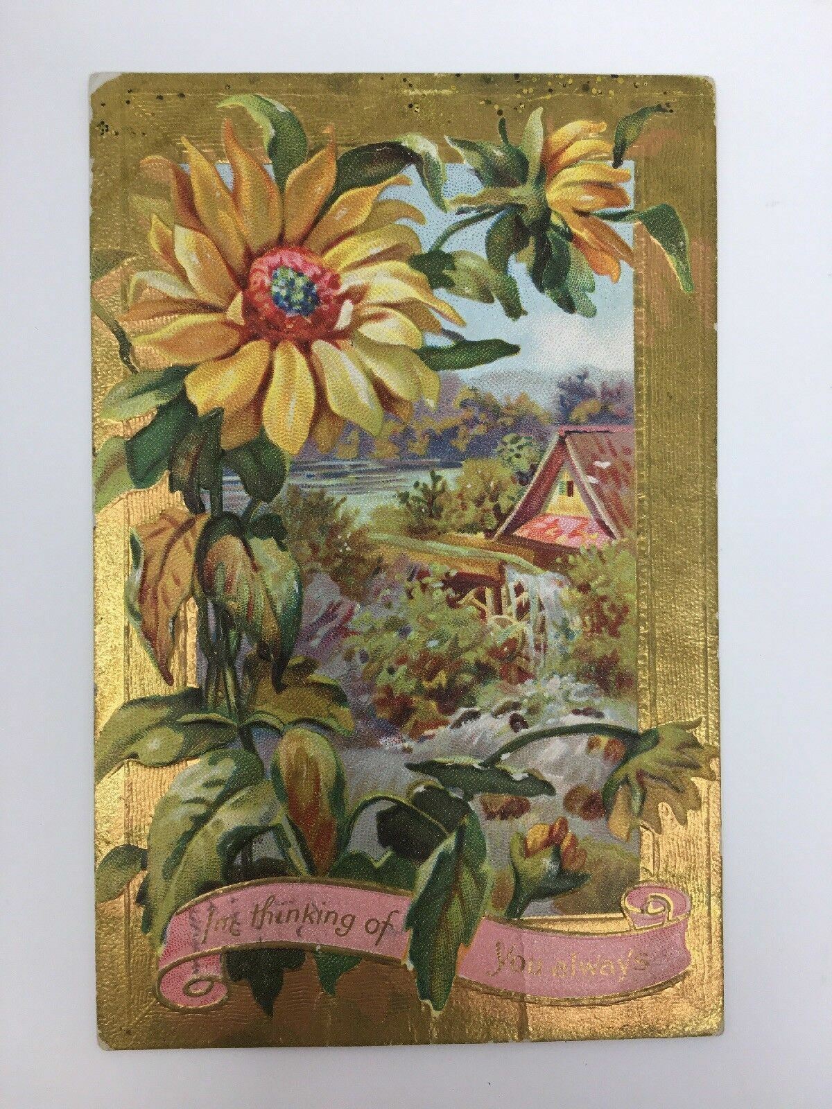 c. 1911 John Winsch Postcard Thinking of You Embossed Flower Floral