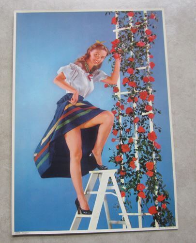 Vintage 1960's STEPPIN - Roses - Pinup Calendar Print - J.S.I.