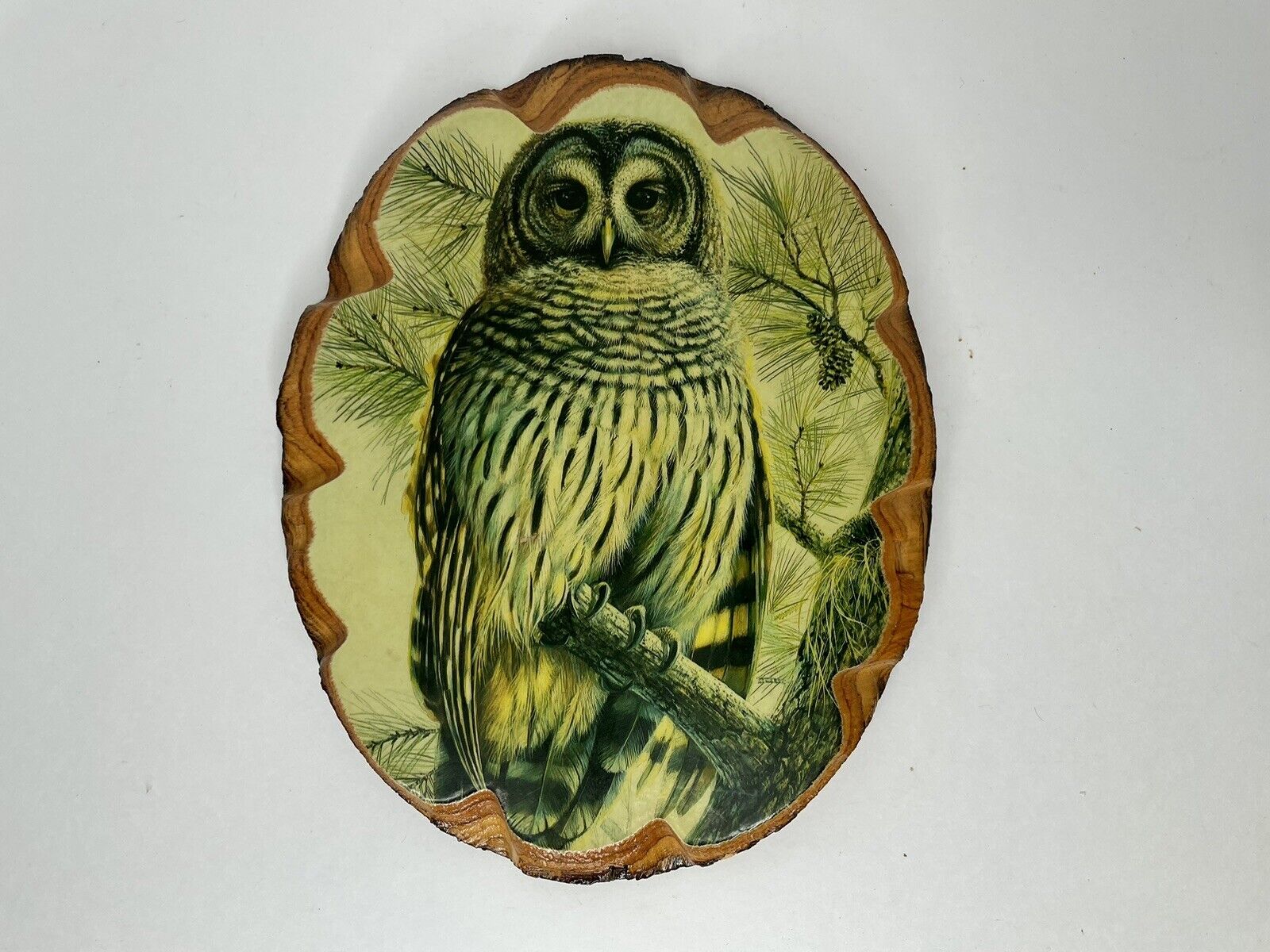 Vintage Owl Wood Wall Hanging Art Plaque Halloween 8” H X 6.5” W