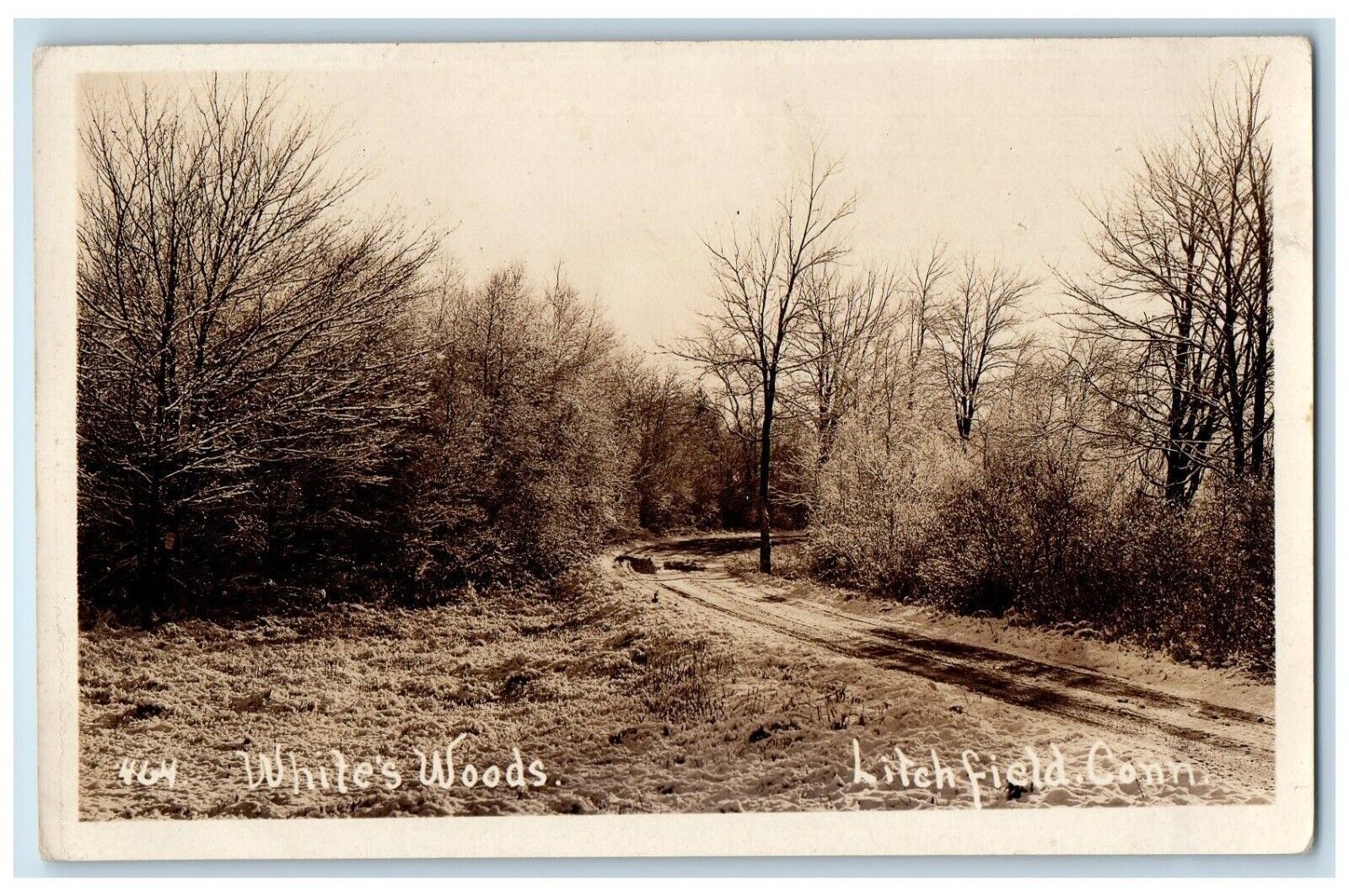 1923 White\'s Woods Dirt Road Litchfield Connecticut CT RPPC Photo Postcard