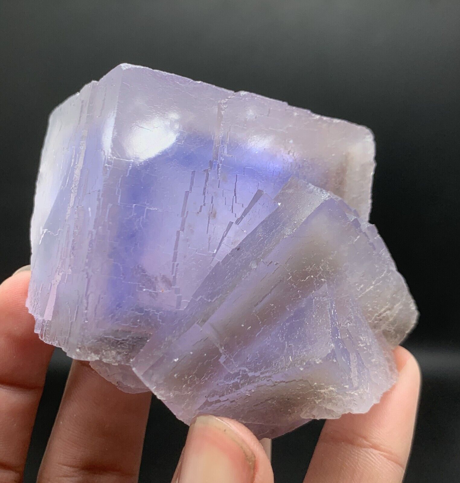 369 Gram. Natural Terminated And Undamaged Blue Cubic Phantom Fluorite Crystal