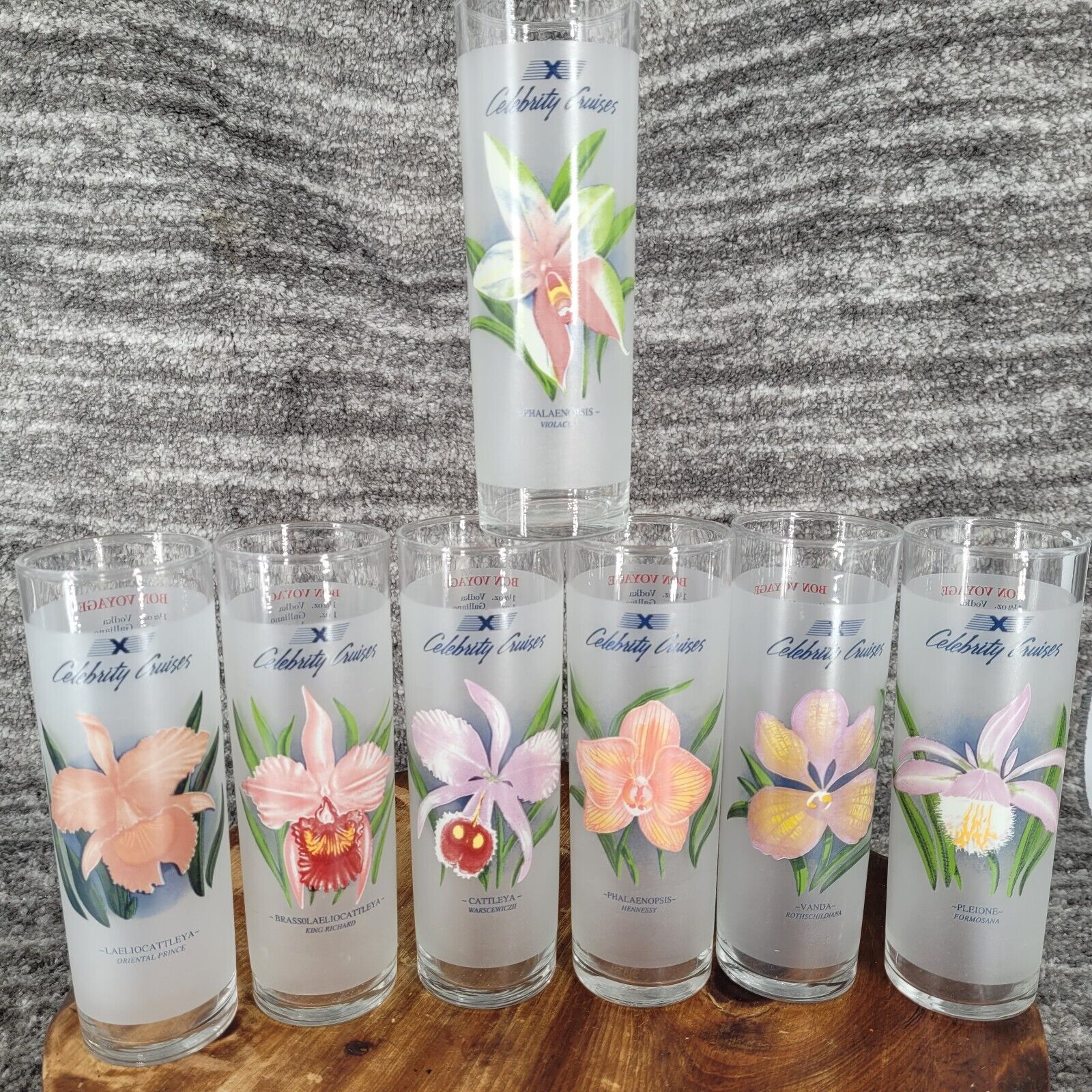 Celebrity Cruises Lot of 7 Floral Frosted Cocktail Recipe Tumbler Collins Glass