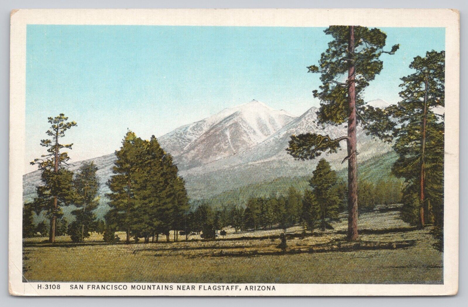 Postcard San Francisco Mountains near Flagstaff AZ Fred Harvey H-3108