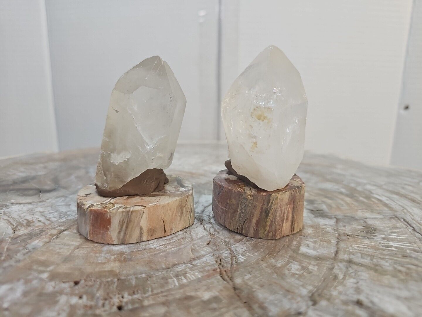2 Pcs 427g Quartz crystals With 2 Polished Petrified Wood slices from Arizona