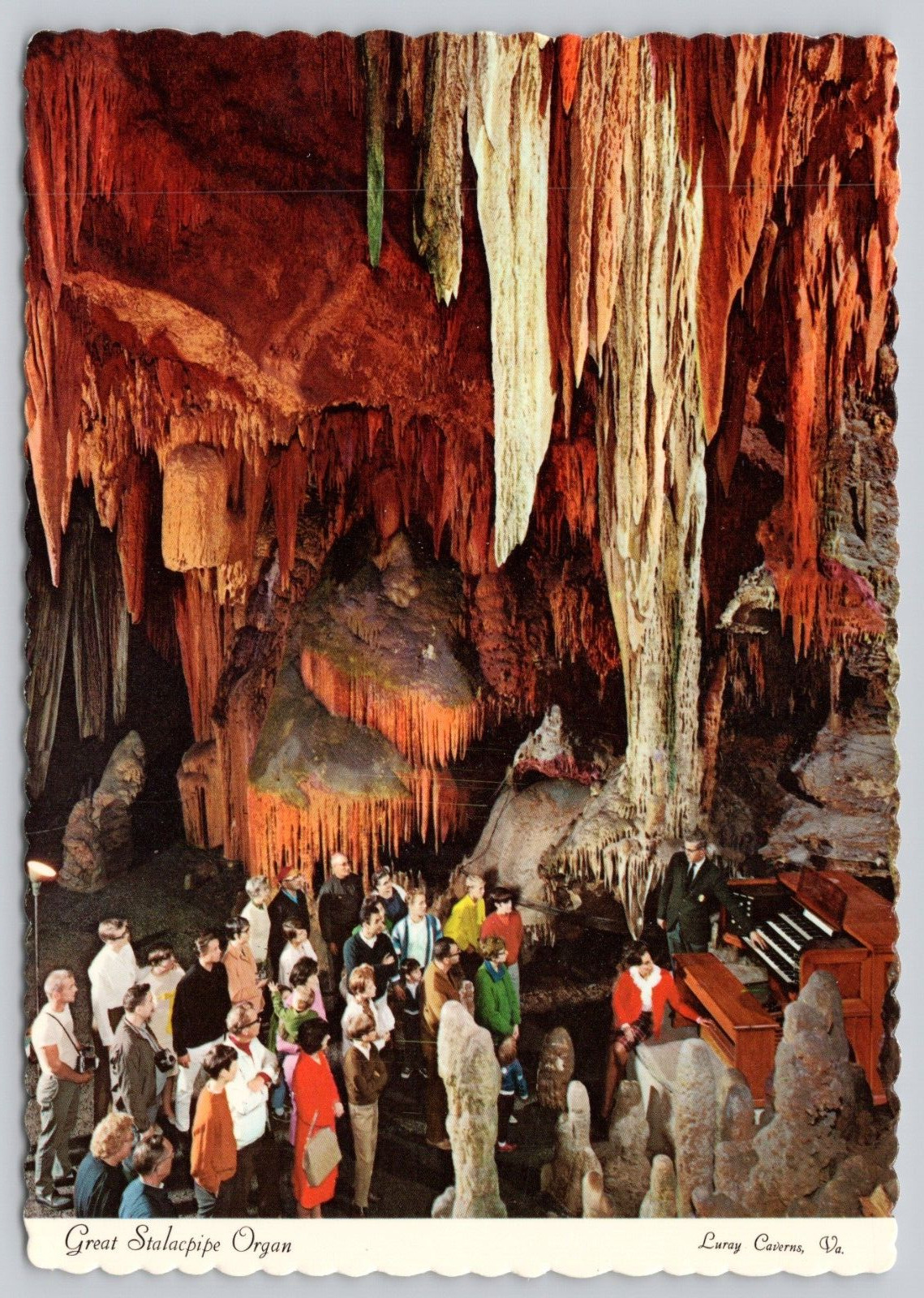 Postcard Luray Virginia Great Stalacpipe Organ The Beautiful Caverns of Luray