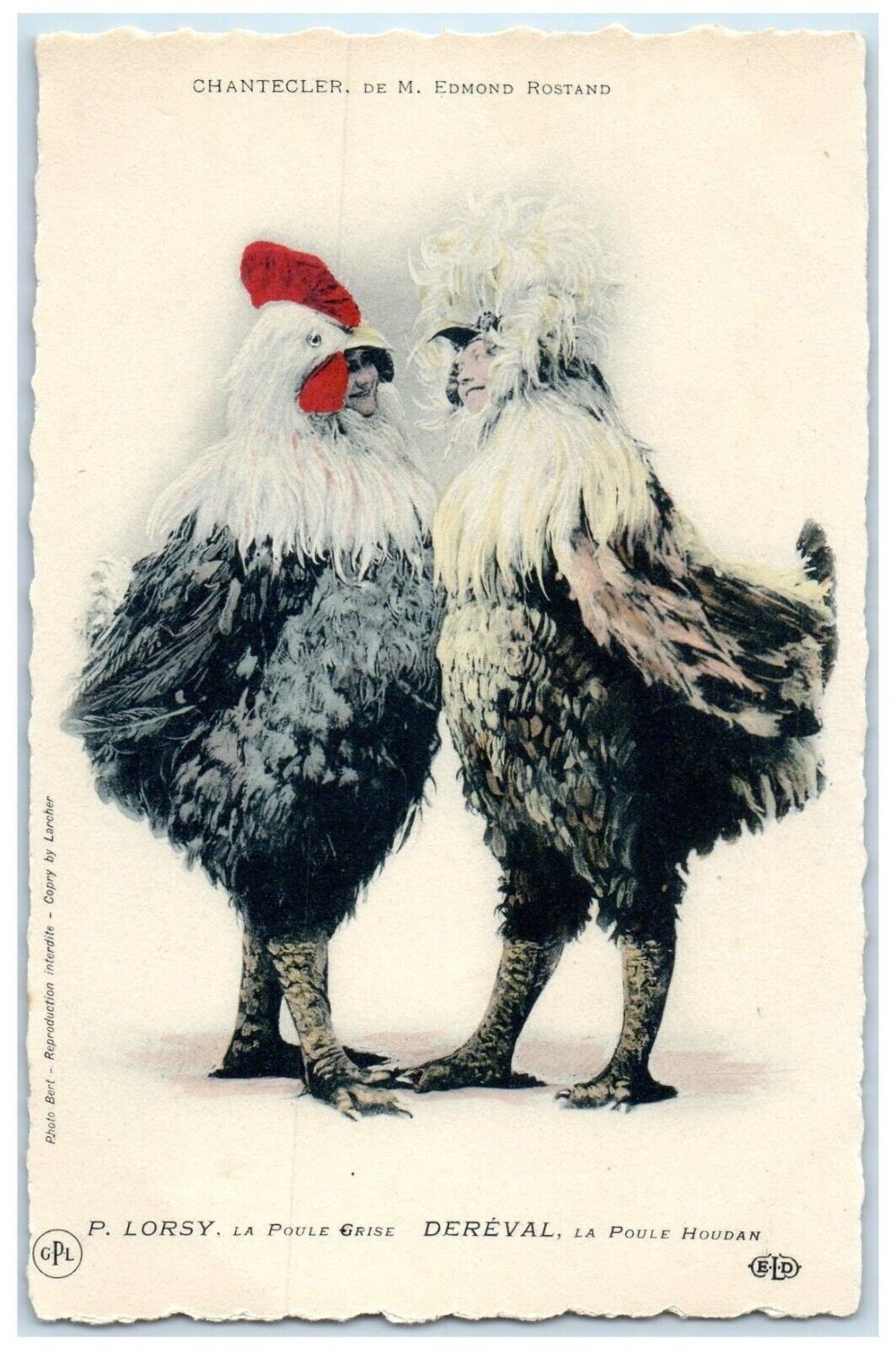 c1905 Woman In Chicken Rooster Costumes France Unposted Antique Postcard