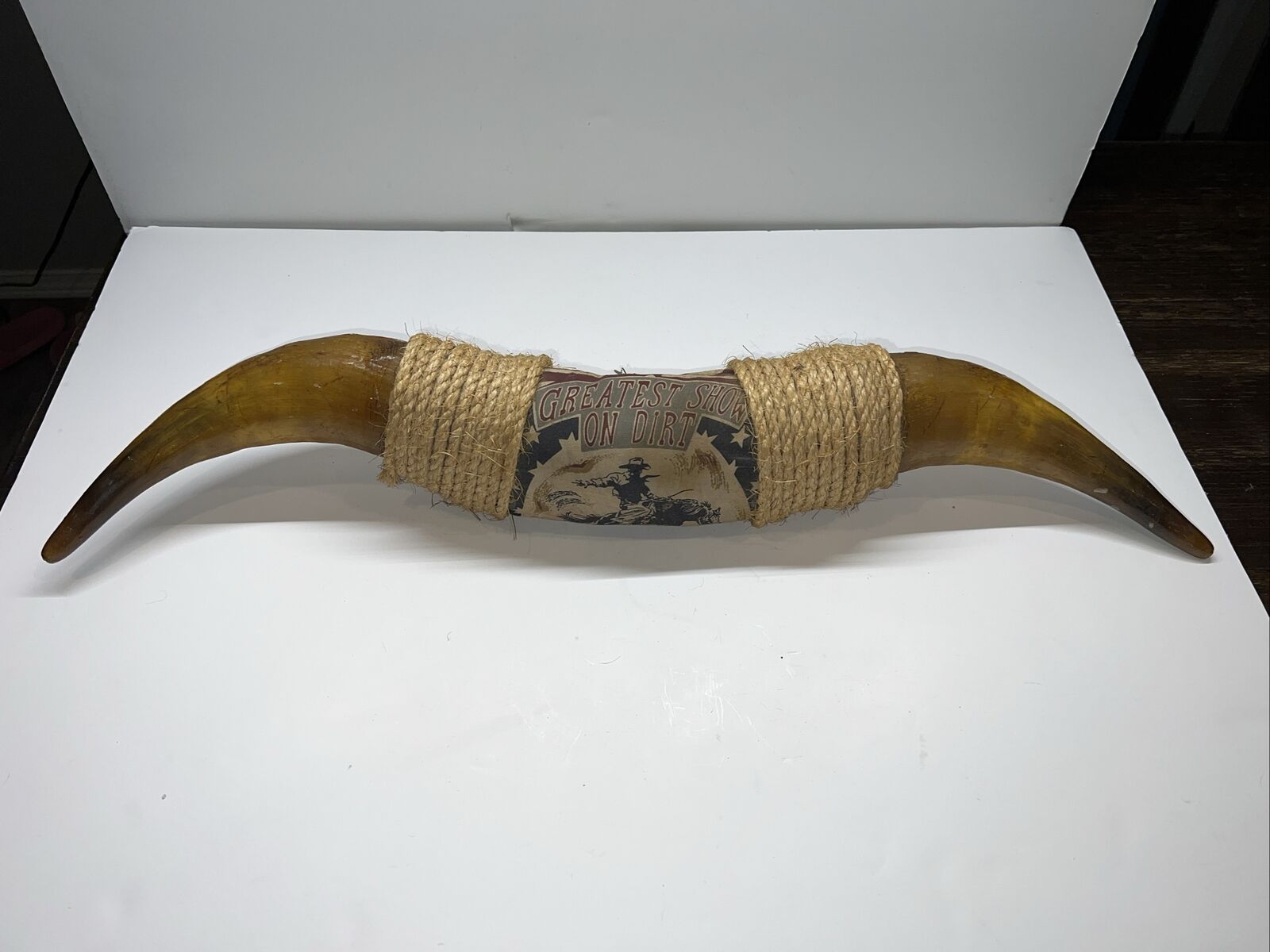 Vintage 27” Souvenir Mounted Bull Real Horns - Greatest Show On Dirt