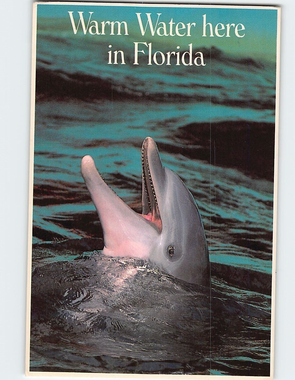 Postcard Warm Water Here in Florida USA