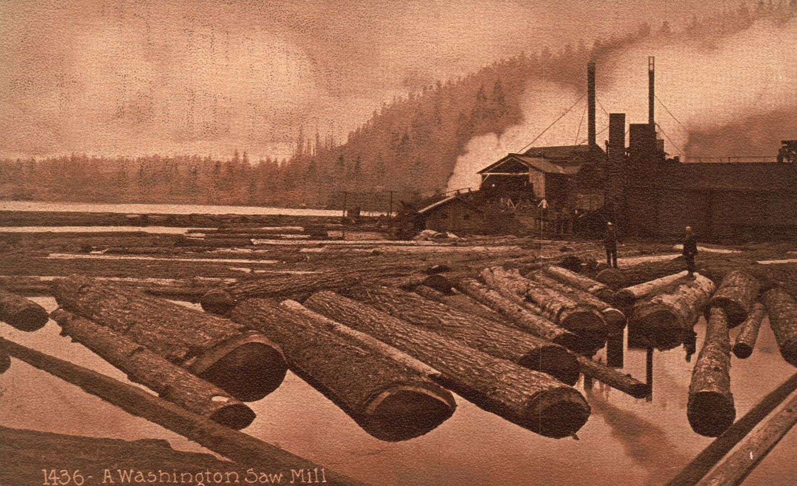 Vintage Postcard Portable Saw Lumber Mill Services in Poulsbo Washington WA