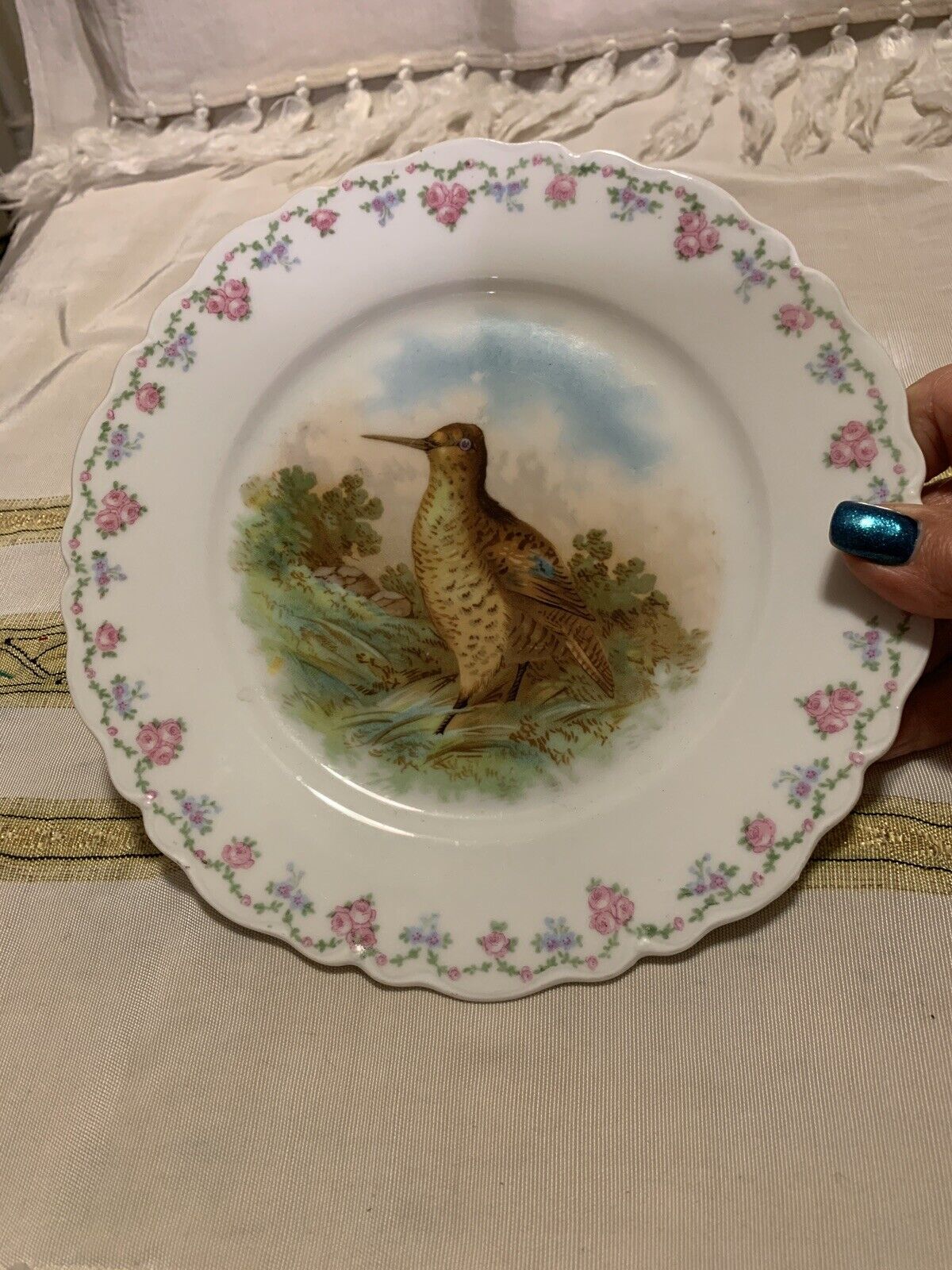 Antique 1899 O&EG Royal Austria Hand Painted Cabinet Plate~Sandpiper~Victorian