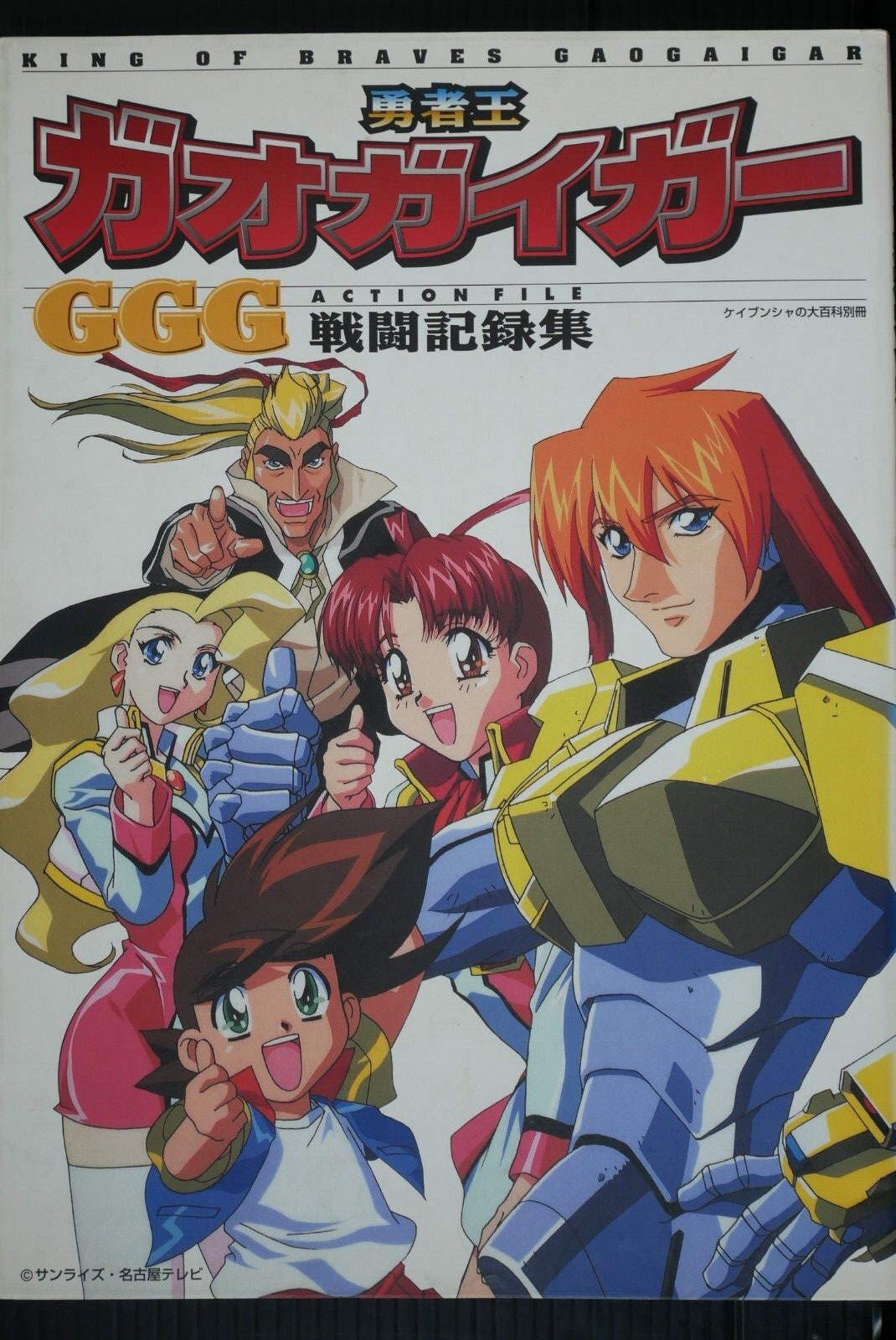 The King of Braves GaoGaiGar GGG Action File (Book) Damage - from JAPAN