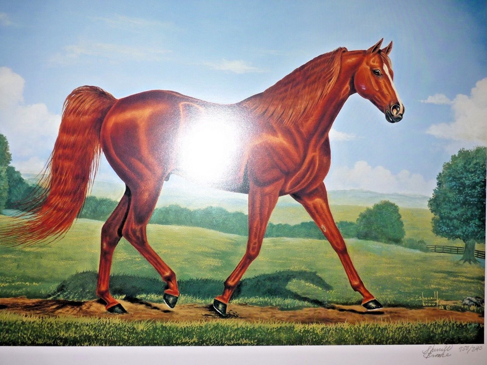 Missouri Fox Trotter MFT Gaited Horse Print Signed numbered Sherril Brooks 16x20