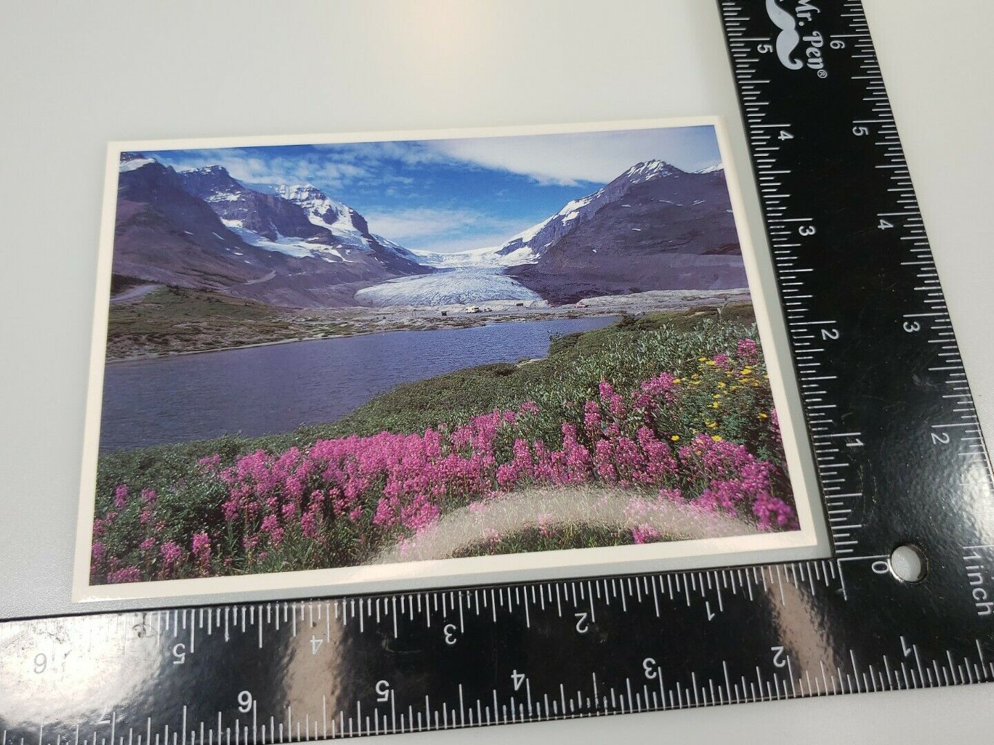 Athabasca Glacier - The Columbia Icefields Alberta Canada - postcard- 