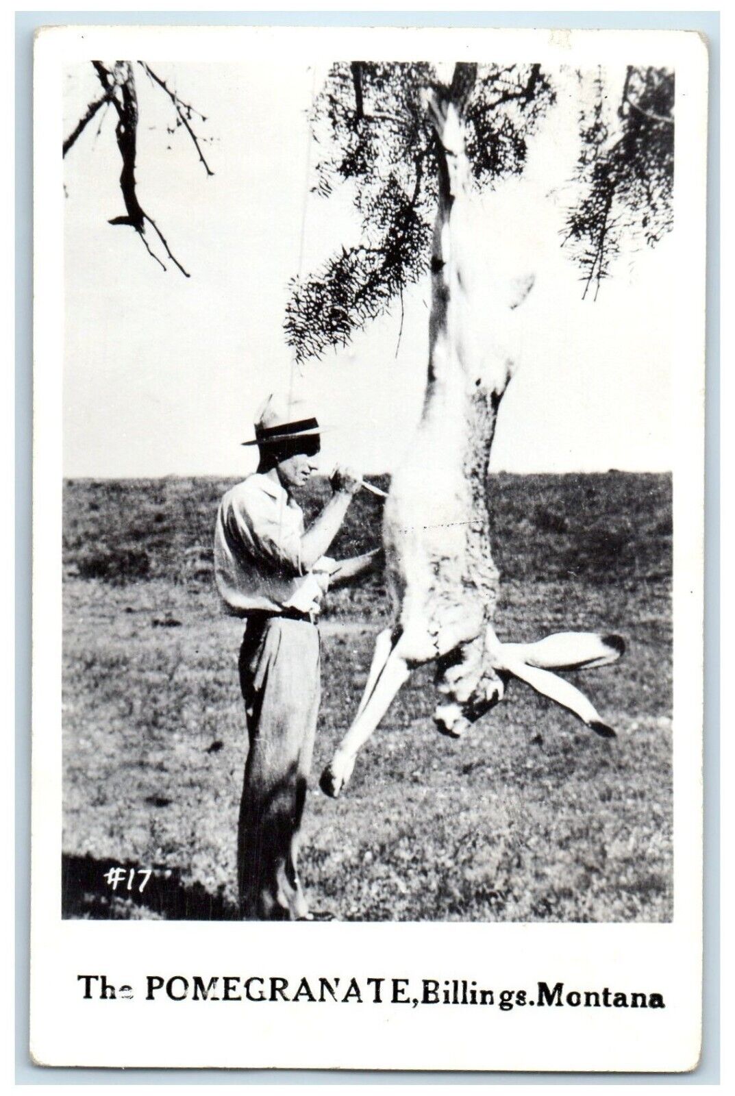 c1950\'s The Pomegranate Exaggerated Billings Montana MT RPPC Photo Postcard