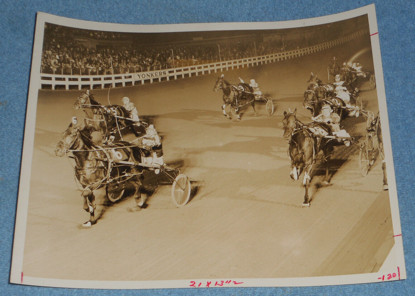 1968 Harness Racing Press Photo Horse \