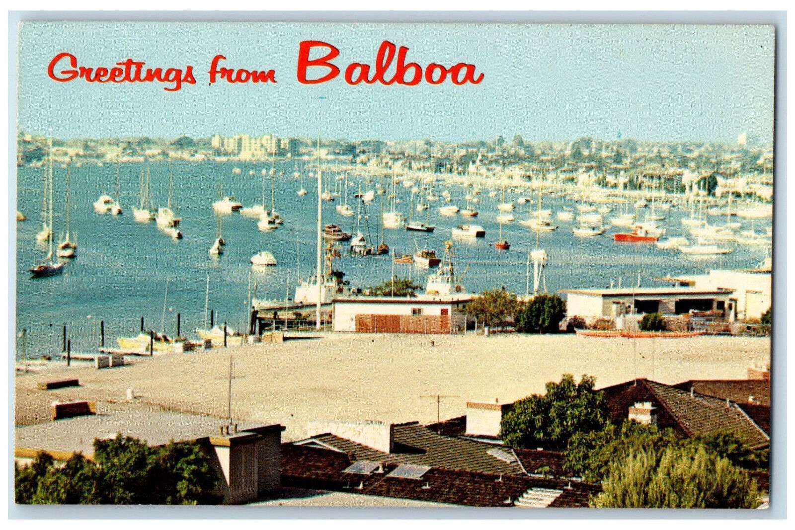 c1960\'s Fleet of Yacht Boats Greetings from Balboa Island California CA Postcard